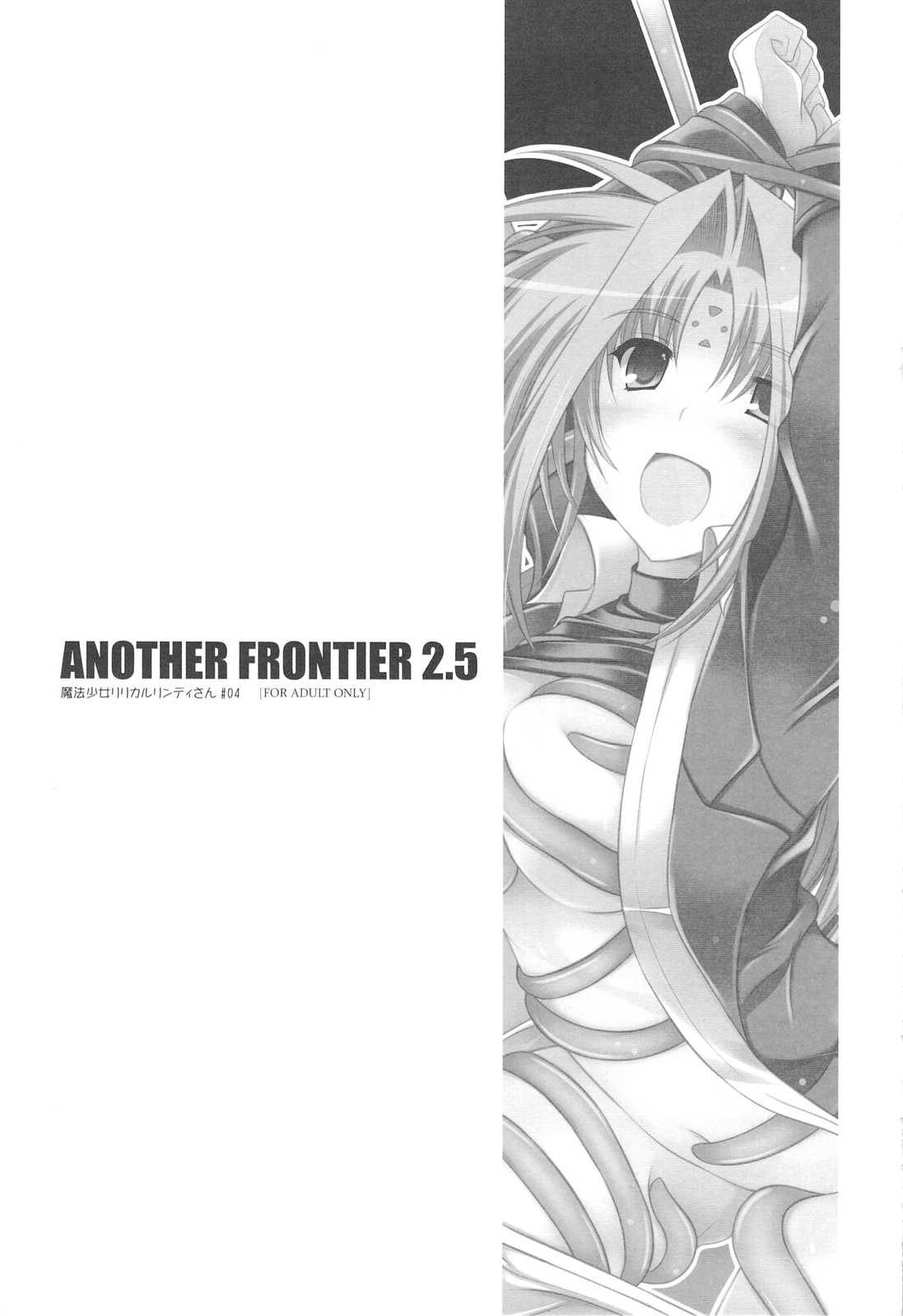 [ELHEART&#039;S] ANOTHER FRONTIER 2.5 (nanoha)(C75) 