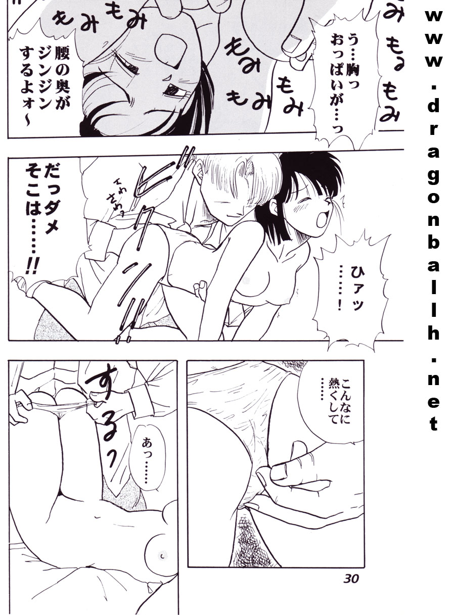 (C52) [Fusuma Goten (Shouji Hariko)] Irohani (Dragonball Z) (C52) [ふすま御殿 (障子張子)] 色鰐 (ドラゴンボールZ)
