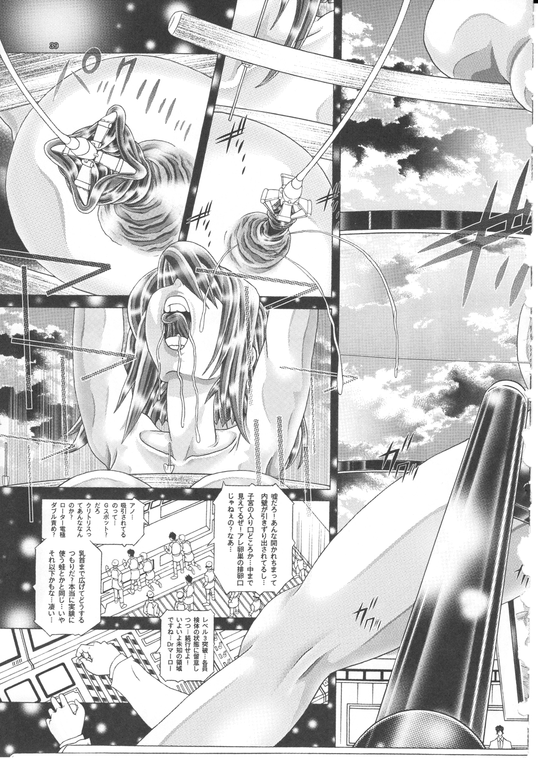 (C77) [Kaki no Boo (Kakinomoto Utamaro)] RANDOM NUDE Vol.5 92 〔STELLAR LOUSSIER〕 (Gundam Seed Destiny) (C79) (同人誌) [110-GROOVE (イトウゆーじ)] にとりのオナホ屋さん (東方)