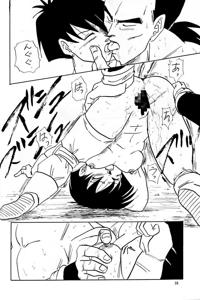 [Shouji Haruzo] XX (Dragon Ball Z) [ふすま御殿＆ちり紙小屋] XX | ダブルエックス (ドラゴンボール)
