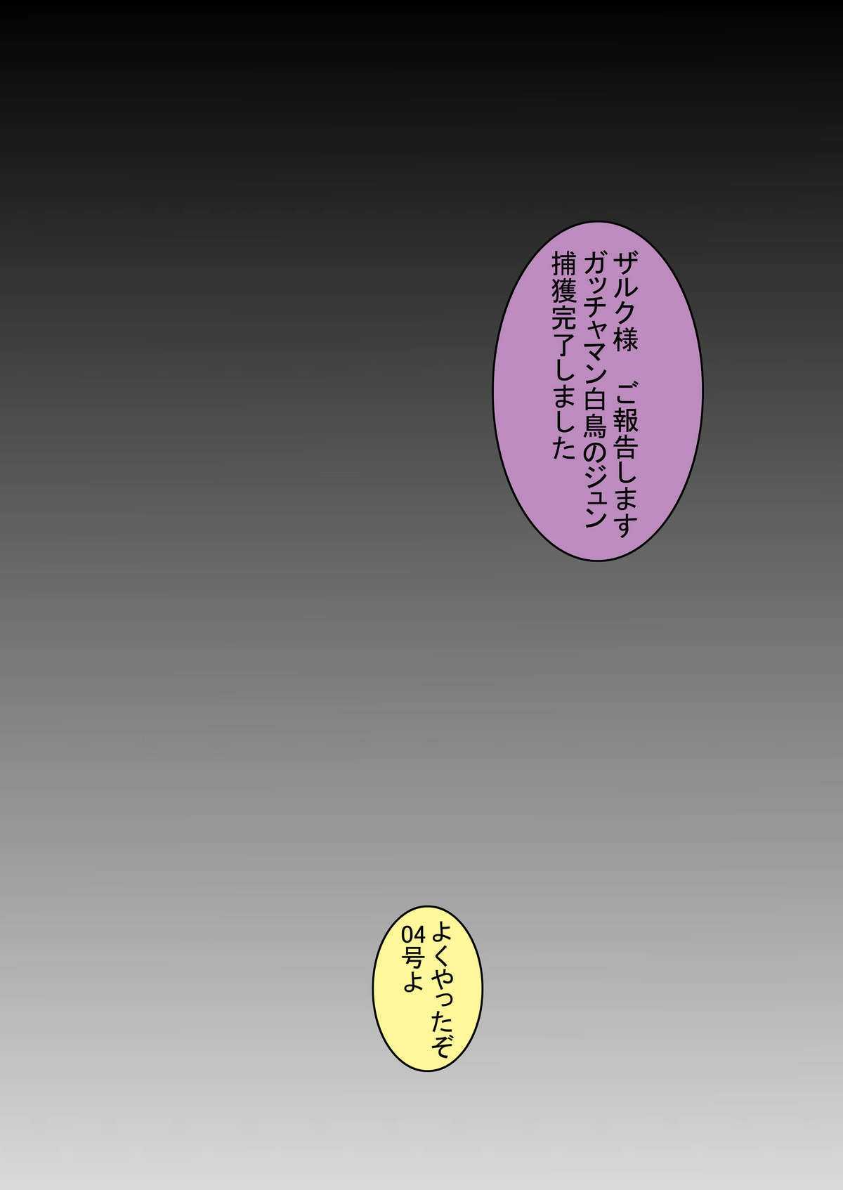 [Light Rate Port Pink] Black Swan Aku no Kokuin Arai (Gatchaman) [ライト・レイト・ポート・ピンク] ブラックスワン悪の刻印洗脳 (科学忍者隊ガッチャマン)