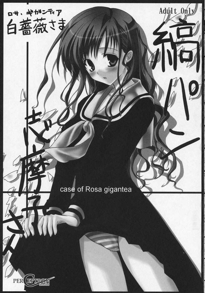 (C65) [Perceptron (Asaga Aoi)] Shiro Bara Milk (Maria-sama ga Miteru) (C65) [ぱーせぷとろん (浅賀葵)] 白薔薇ミルク (マリア様がみてる)