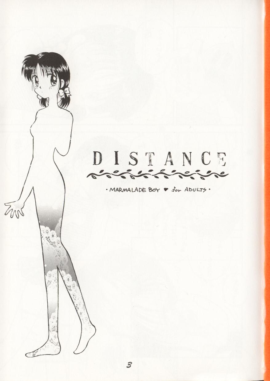 (C48) [Dai Nippon Kodomo Shuppan (DONKEY)] distance (Spanish) LKNOFansub 
