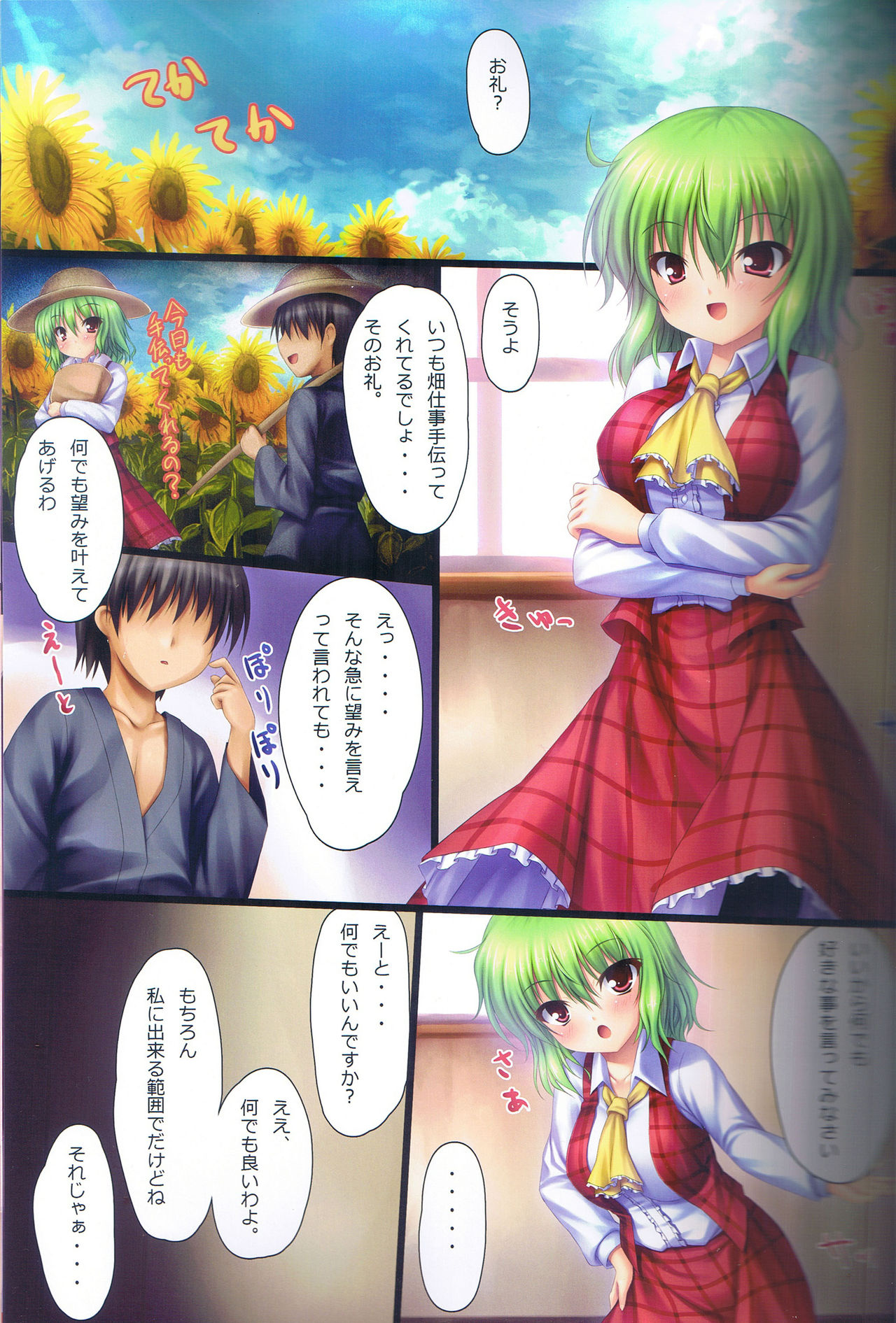 (C81) [16000 All (Takeponian)] Y (Touhou Project) (C81) [16000オール (たけぽにあん)] Y (東方Project)